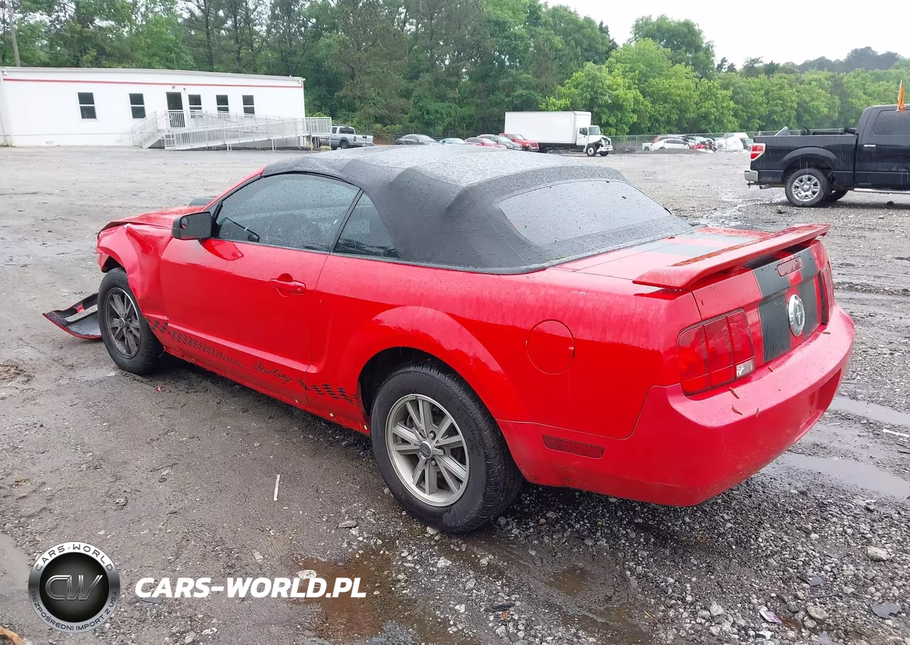 2005 Ford Mustang VIN:1ZVFT84N955194394 - 3