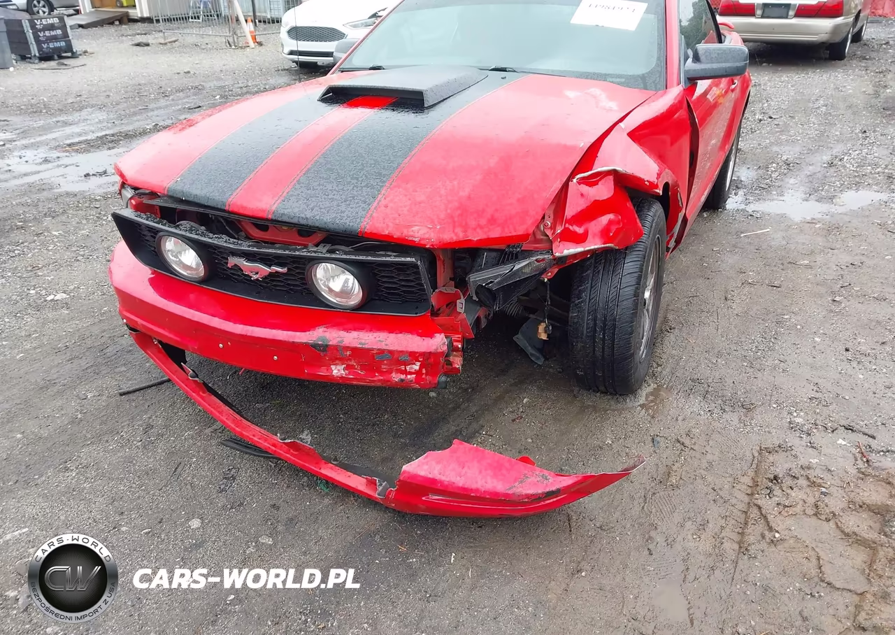 2005 Ford Mustang VIN:1ZVFT84N955194394 - 6