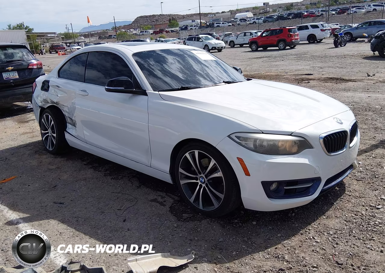 2014 BMW 228I