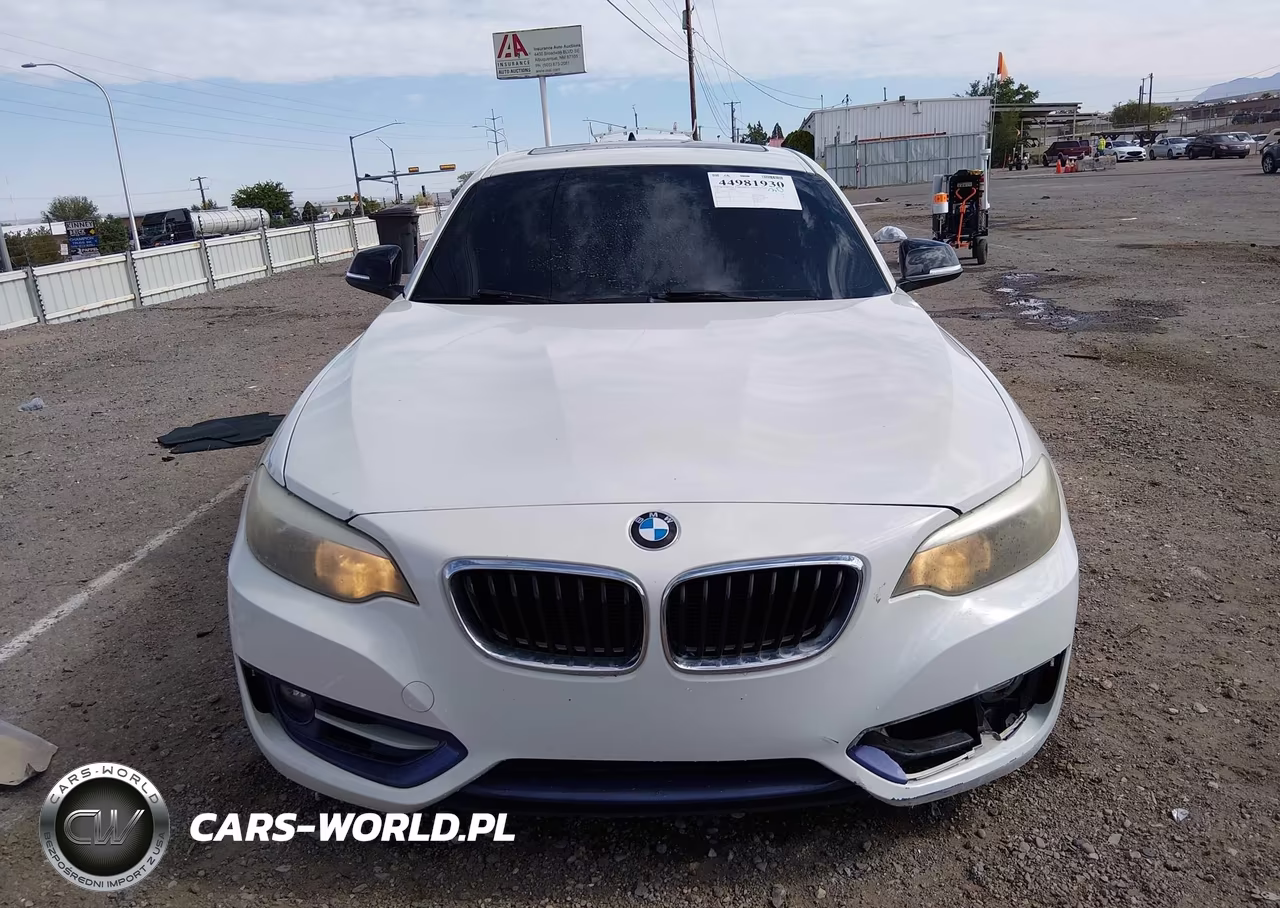 2014 BMW 228I VIN:WBA1F5C50EV255374 - 13
