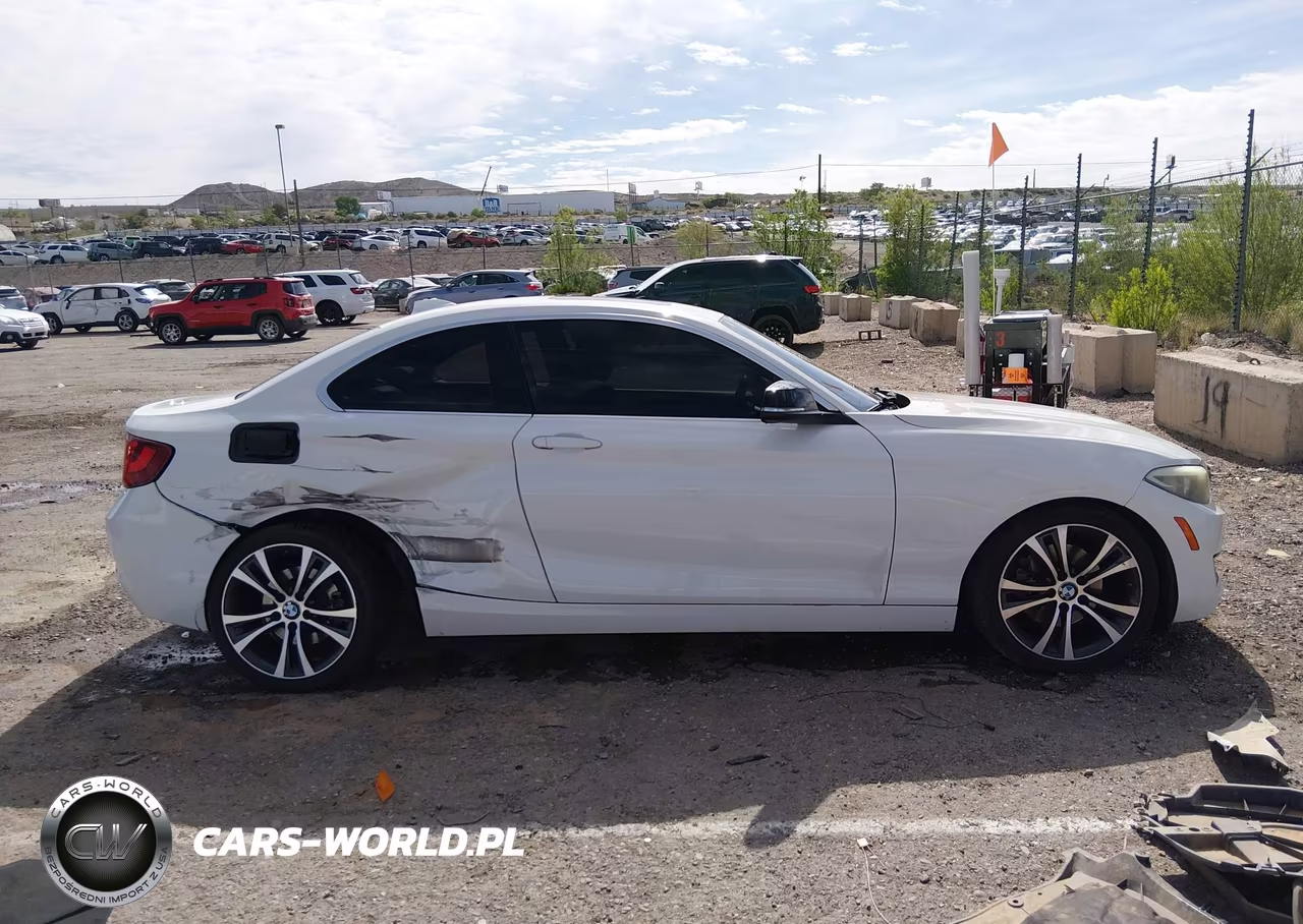 2014 BMW 228I VIN:WBA1F5C50EV255374 - 14