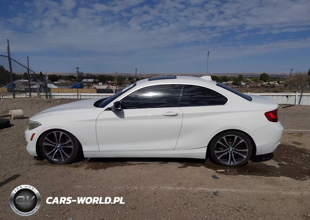 2014 BMW 228I VIN:WBA1F5C50EV255374 - 15