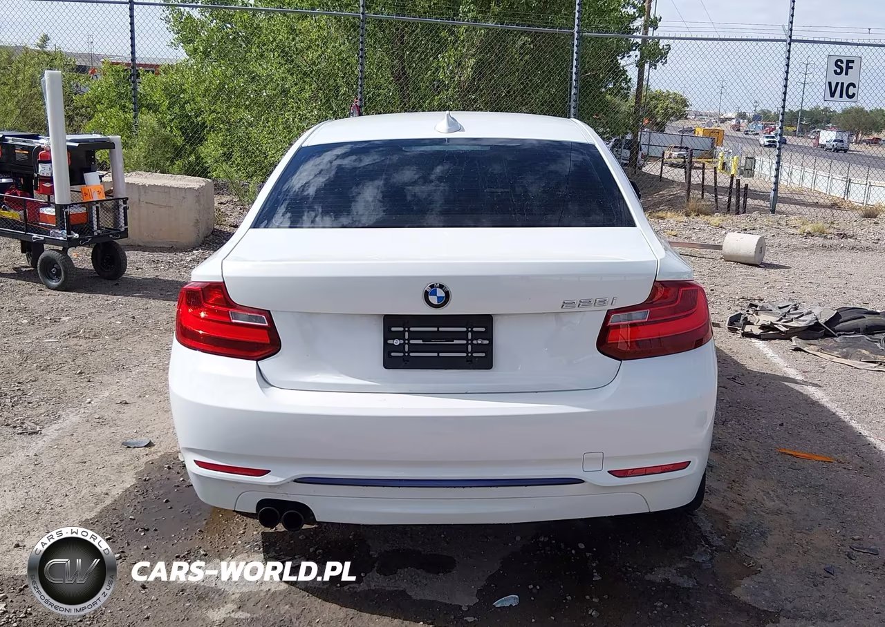 2014 BMW 228I VIN:WBA1F5C50EV255374 - 17