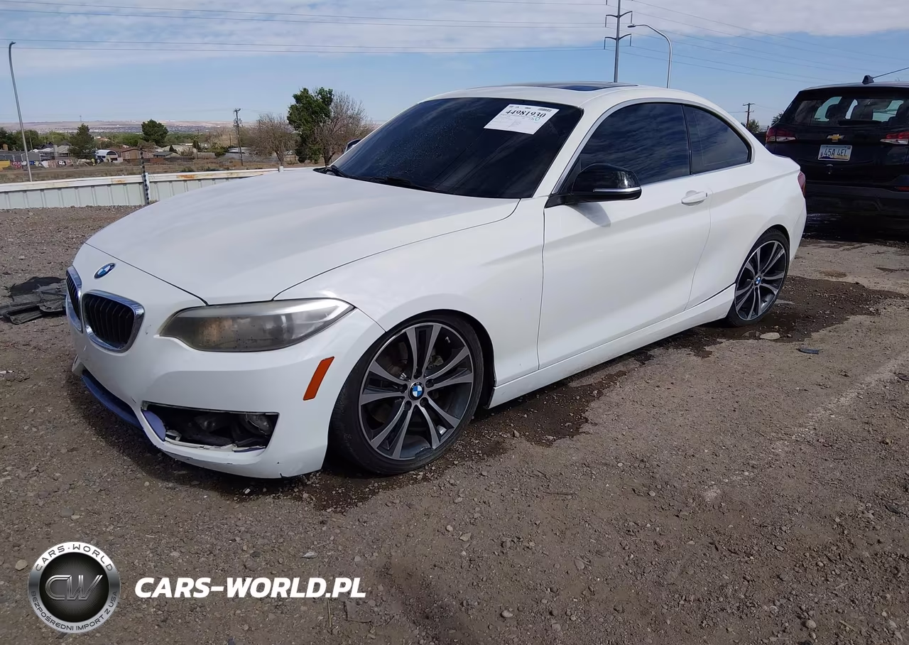 2014 BMW 228I VIN:WBA1F5C50EV255374 - 2