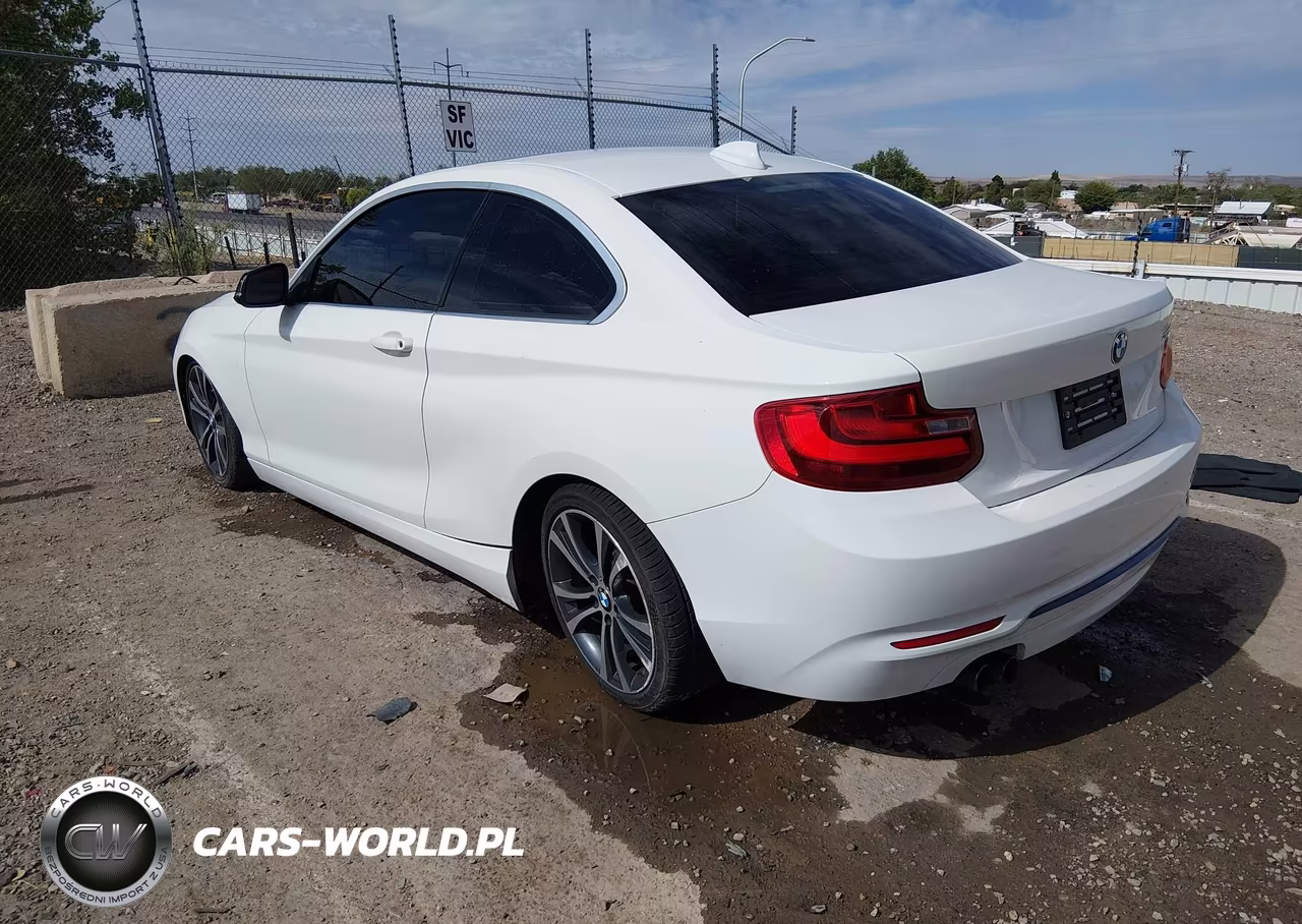 2014 BMW 228I VIN:WBA1F5C50EV255374 - 3