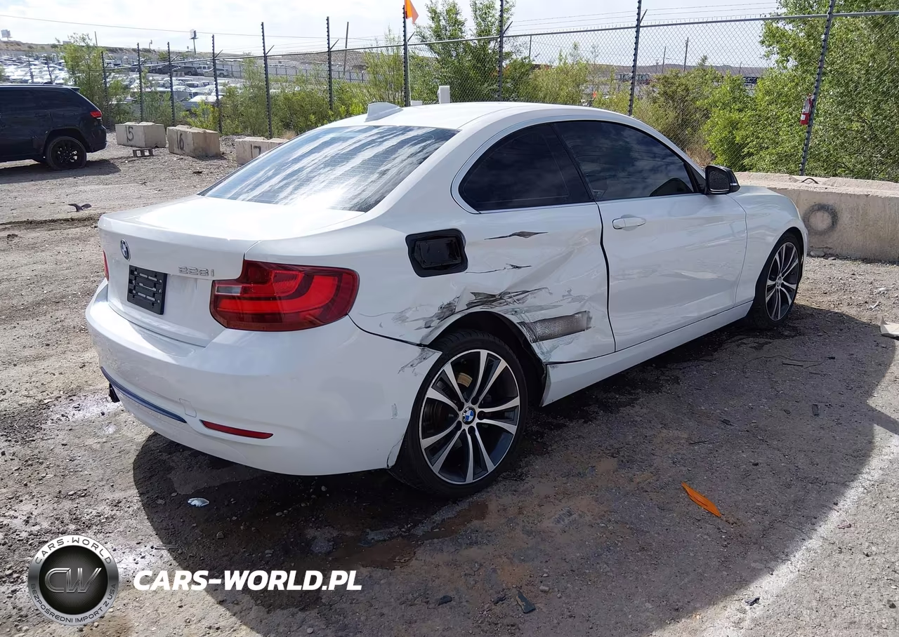 2014 BMW 228I VIN:WBA1F5C50EV255374 - 4