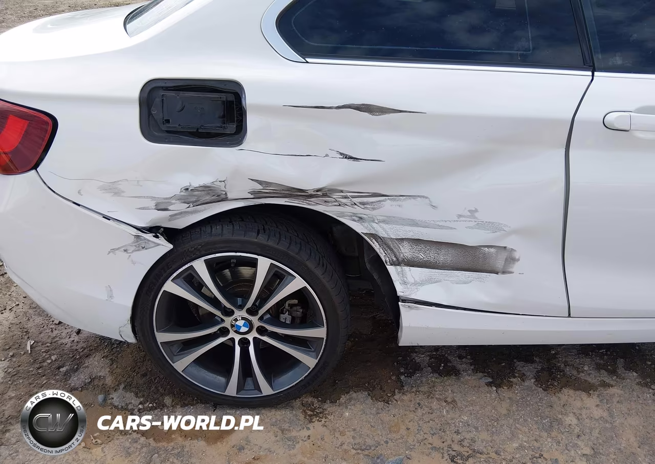 2014 BMW 228I VIN:WBA1F5C50EV255374 - 6