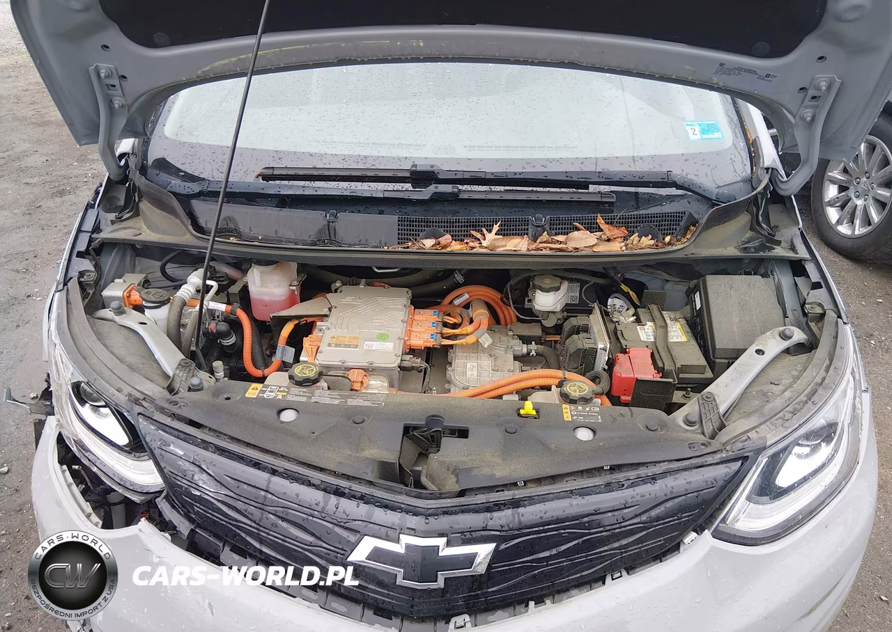 2020 Chevrolet Bolt Ev Fwd Premier VIN:1G1FZ6S03L4131820 - 10