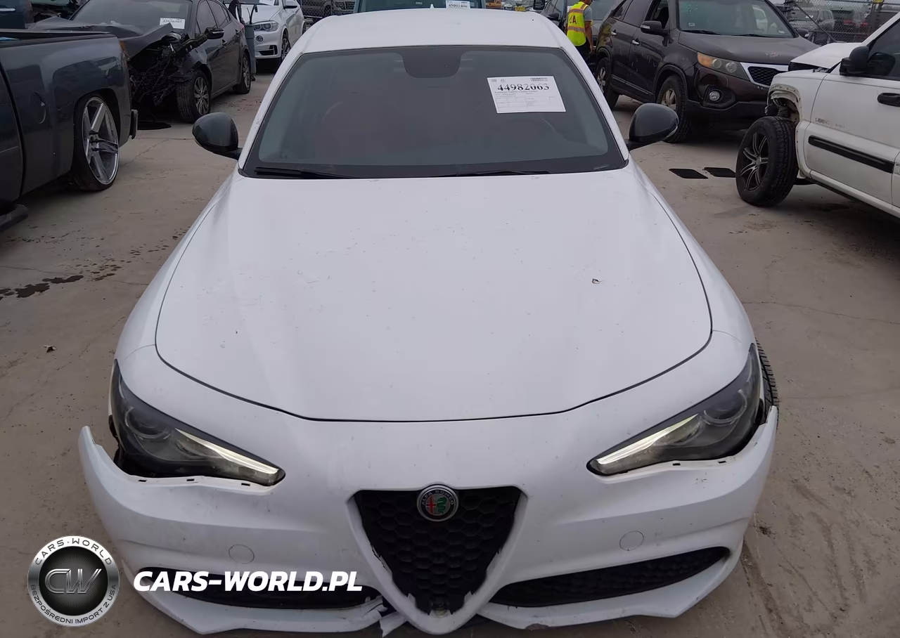 2019 Alfa Romeo Giulia Sport Rwd VIN:ZARFAMAN7K7611720 - 12