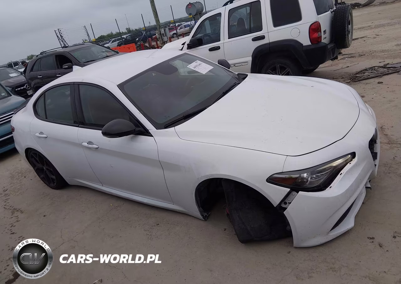 2019 Alfa Romeo Giulia Sport Rwd VIN:ZARFAMAN7K7611720 - 13
