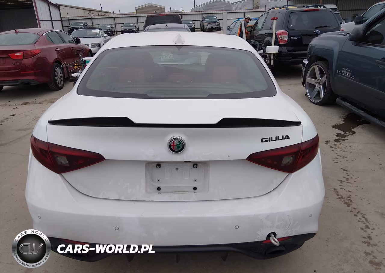 2019 Alfa Romeo Giulia Sport Rwd VIN:ZARFAMAN7K7611720 - 16