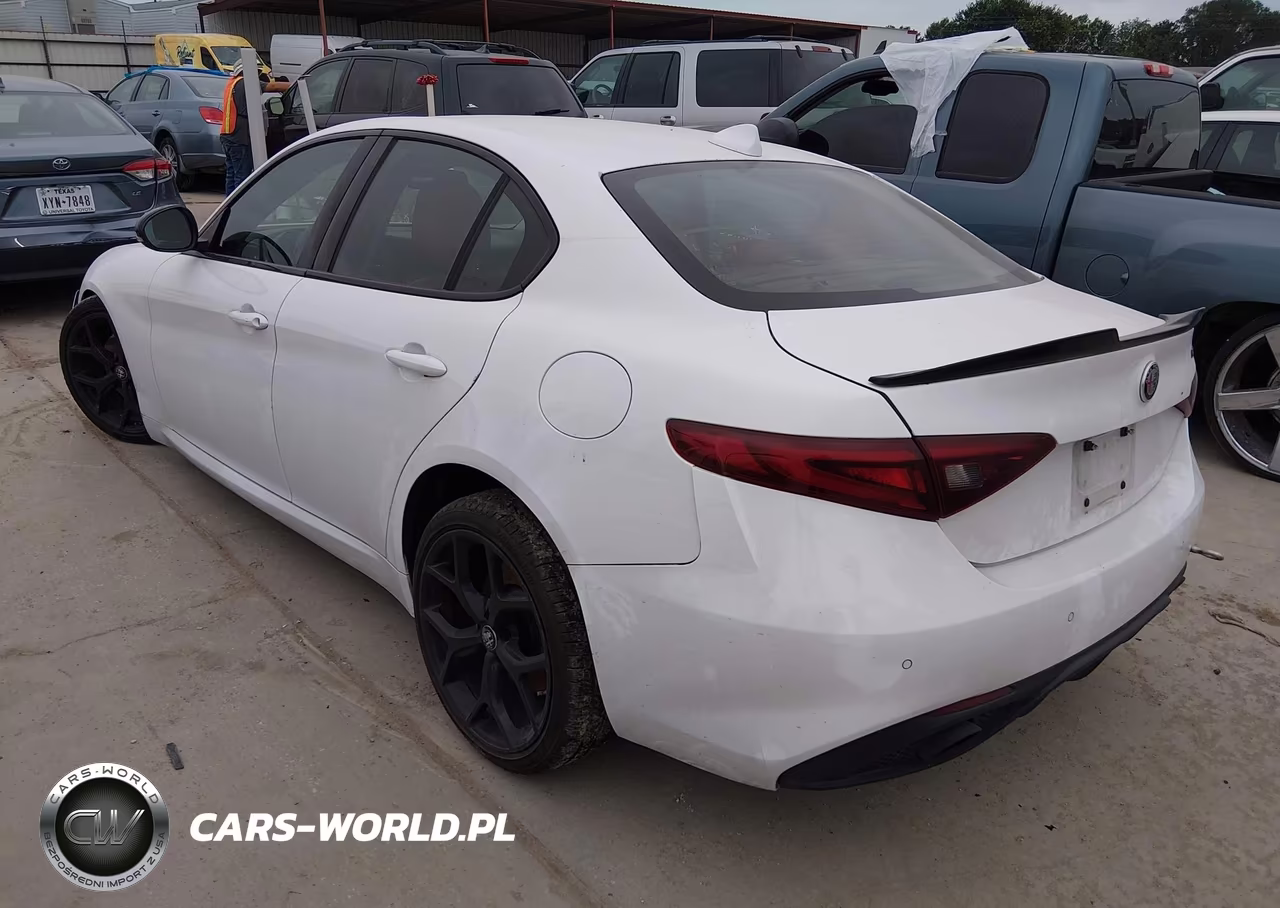 2019 Alfa Romeo Giulia Sport Rwd VIN:ZARFAMAN7K7611720 - 3