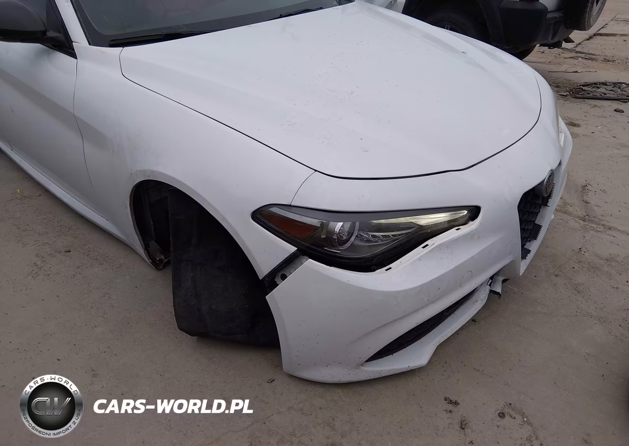 2019 Alfa Romeo Giulia Sport Rwd VIN:ZARFAMAN7K7611720 - 6