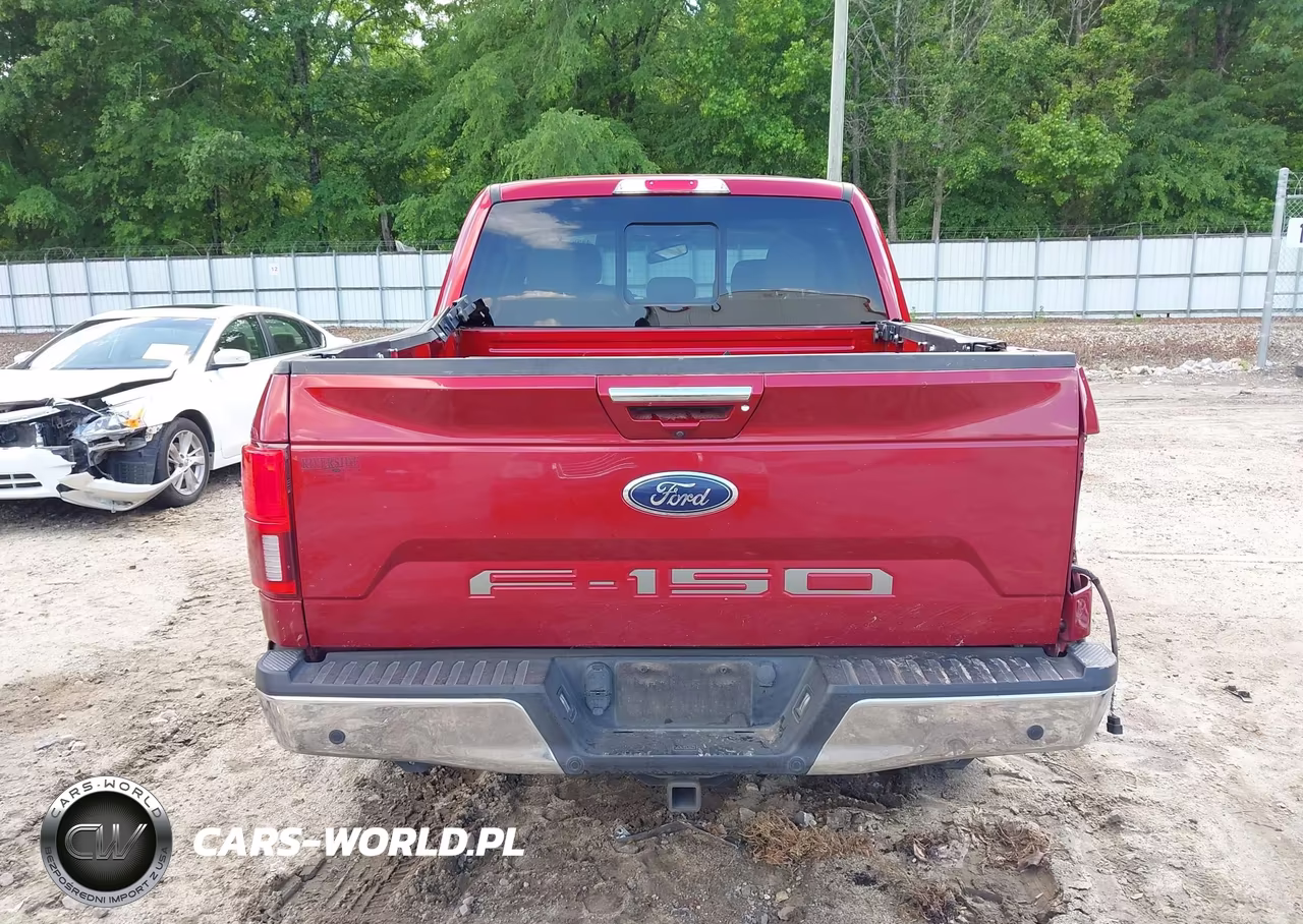 2019 Ford F-150 Lariat VIN:1FTEW1C53KKC46534 - 17