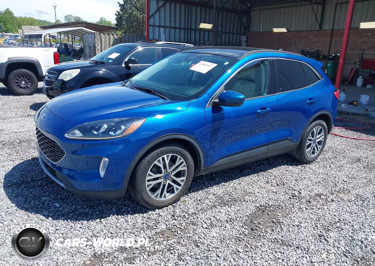 2022 Ford Escape Sel VIN:1FMCU0H69NUA37277 - 2