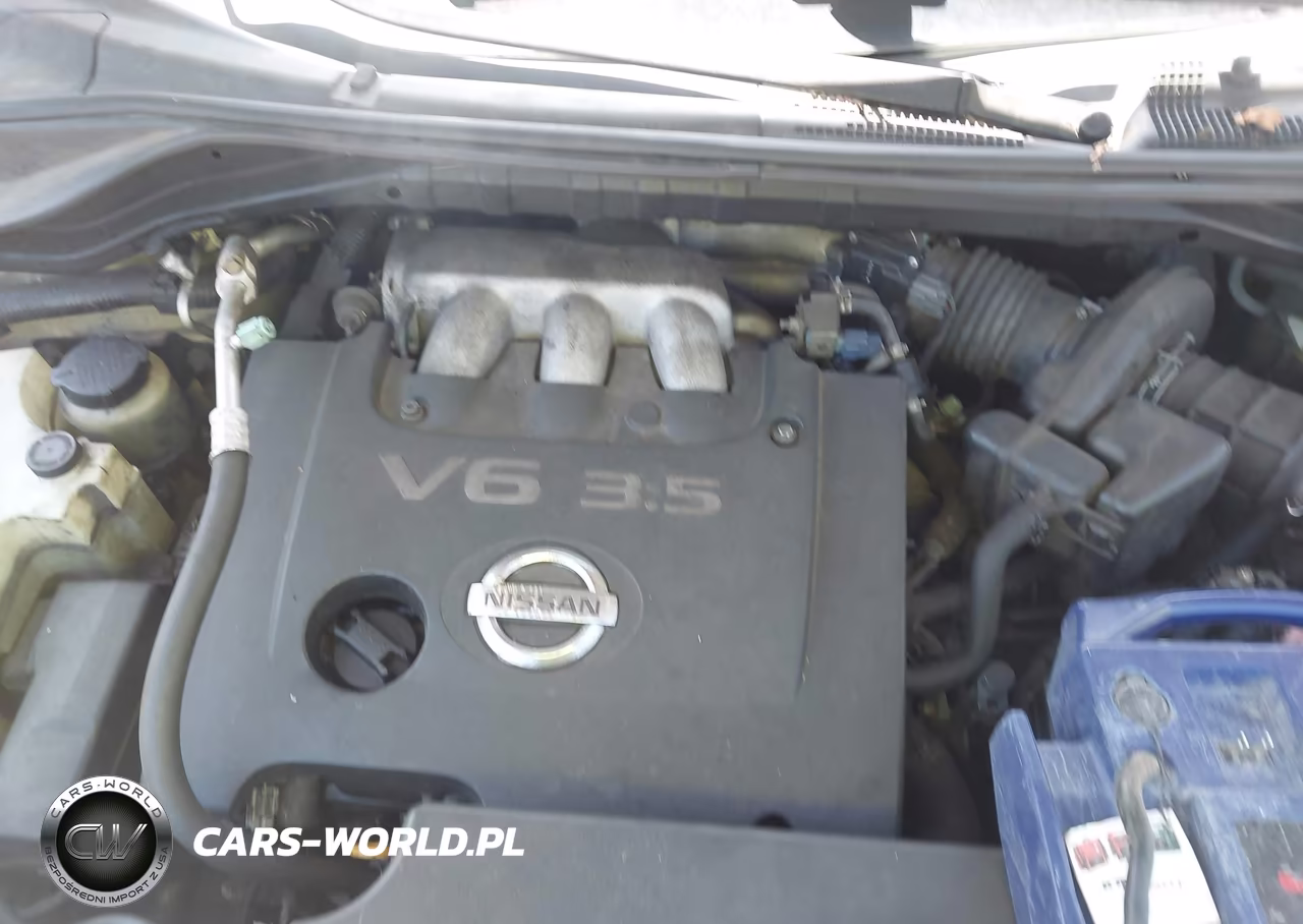 2005 Nissan Murano Se VIN:JN8AZ08W85W412663 - 10
