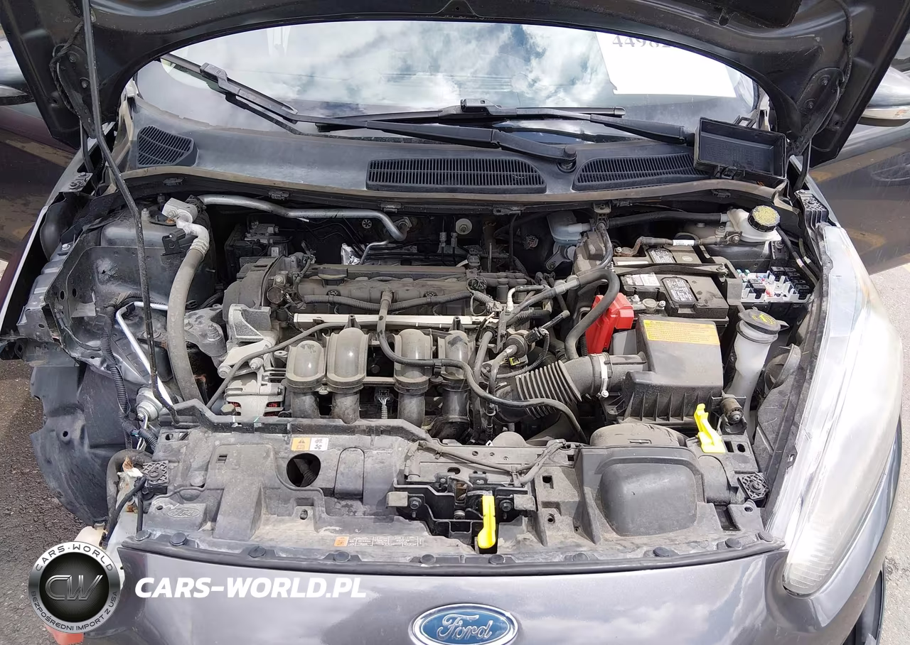 2016 Ford Fiesta Se VIN:3FADP4EJ5GM197265 - 10