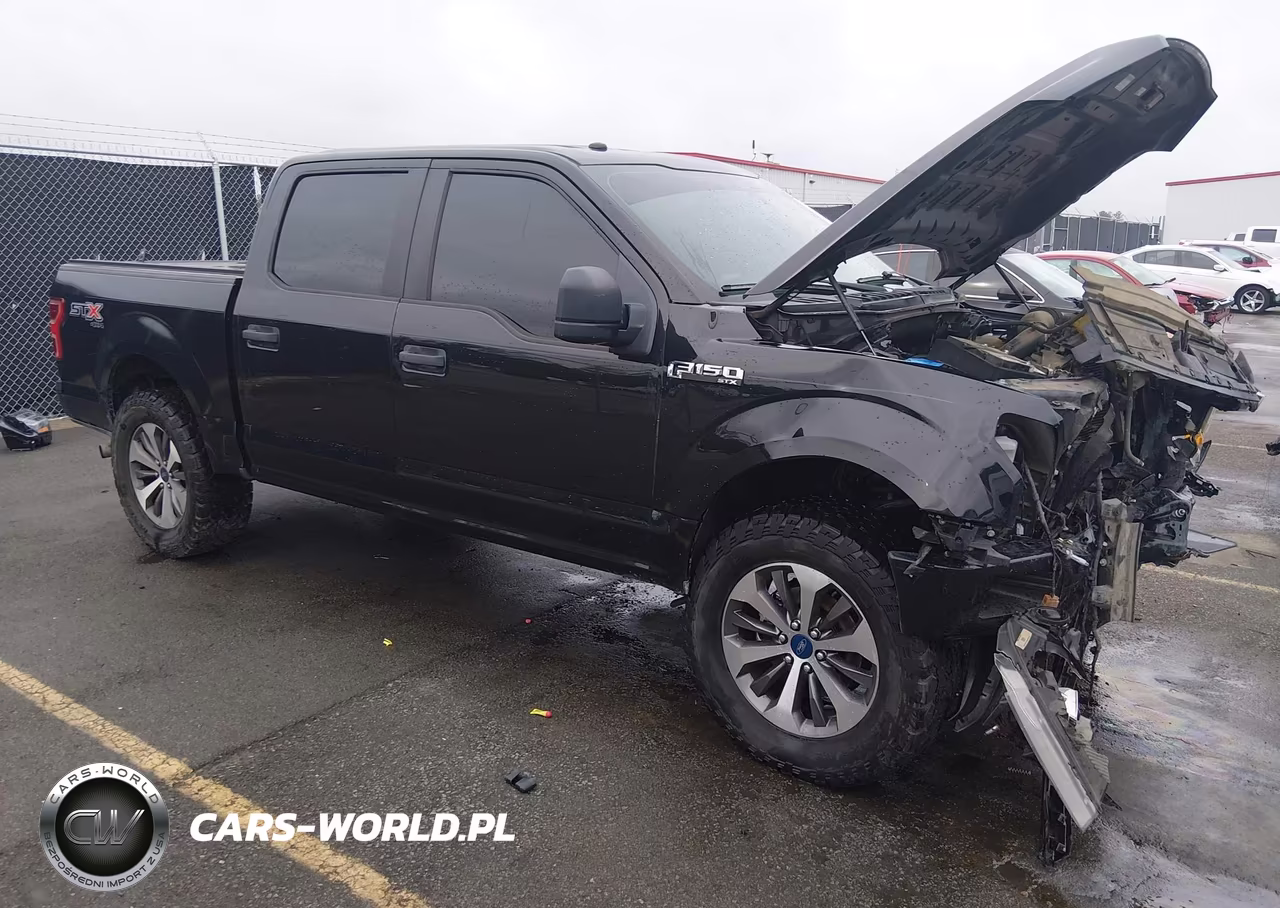 2019 Ford F-150 Xl – zdjęcie 1 z 17