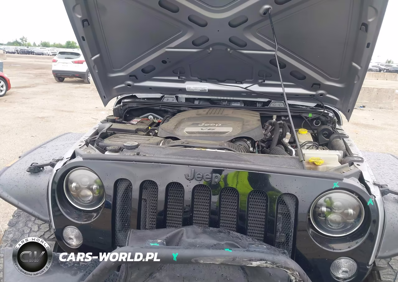2016 Jeep Wrangler Unlimited Willys Wheeler VIN:1C4BJWDG6GL120944 - 10