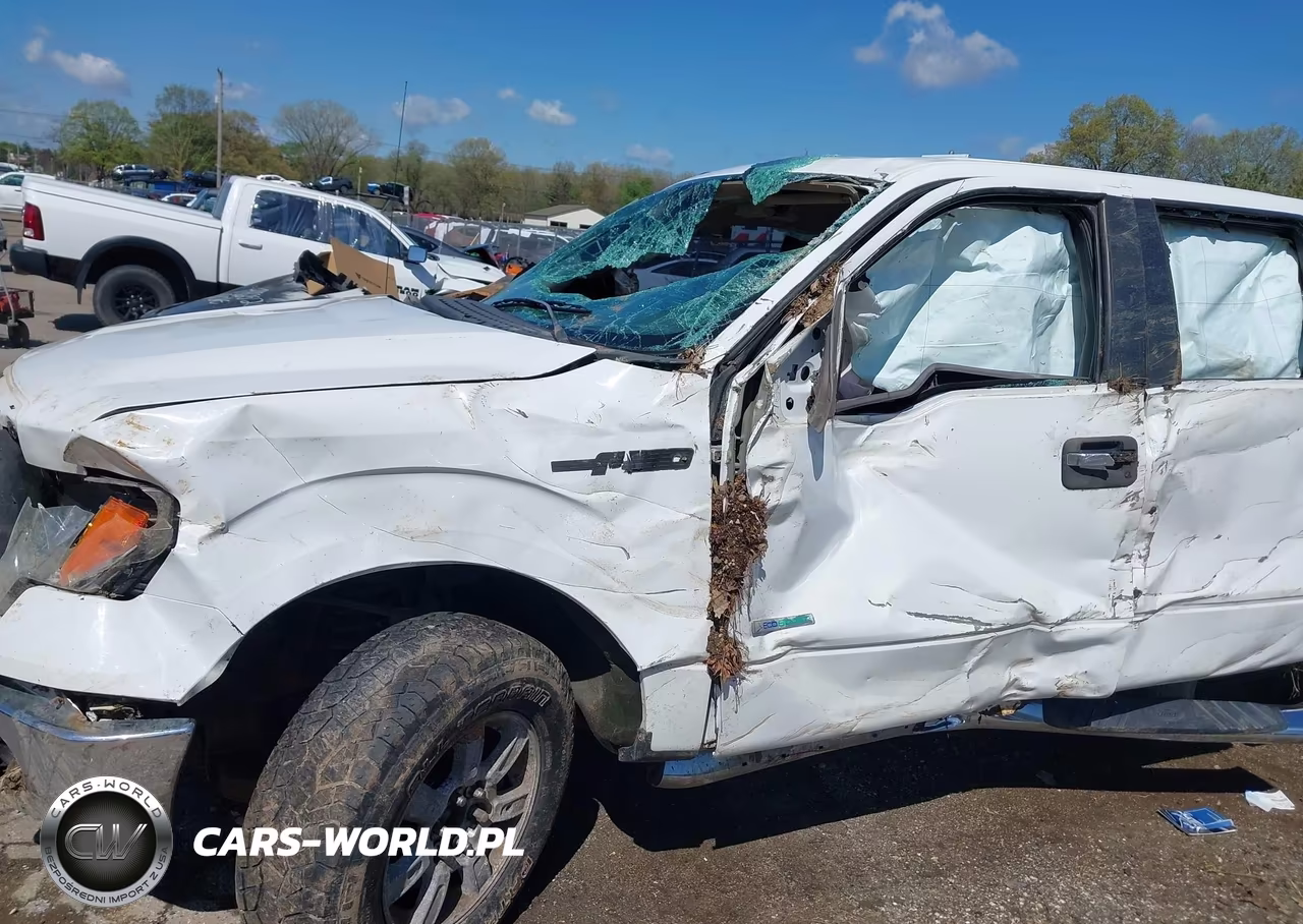 2011 Ford F-150 Xlt VIN:1FTFW1ET7BFA84500 - 12