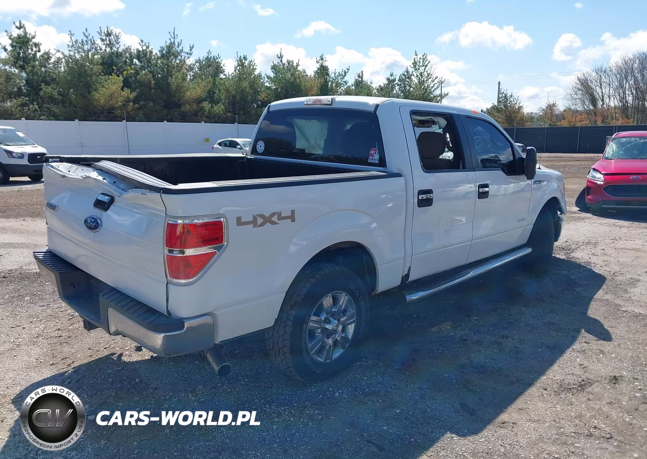 2011 Ford F-150 Xlt VIN:1FTFW1ET7BFA84500 - 4