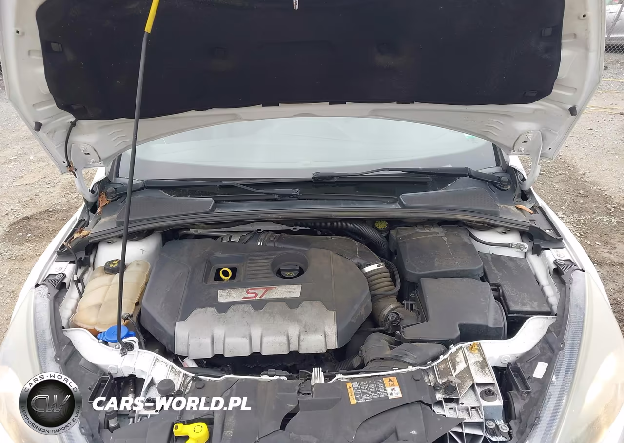 2016 Ford Focus St VIN:1FADP3L90GL224005 - 10