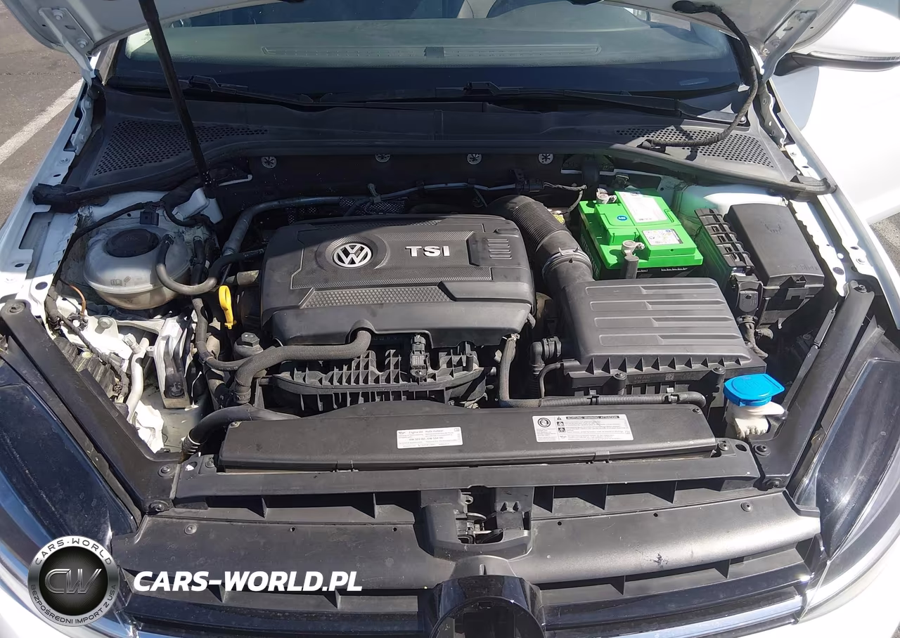 2018 Volkswagen Golf Sportwagen Tsi S VIN:3VW117AU0JM759755 - 9