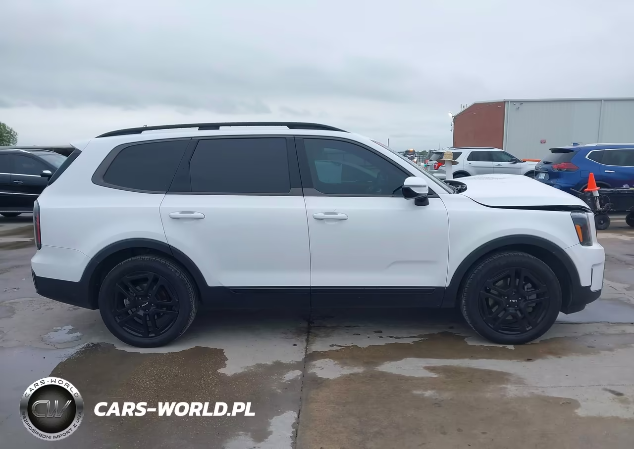 2024 Kia Telluride Sx Prestige X-Line VIN:5XYP5DGCXRG447854 - 14