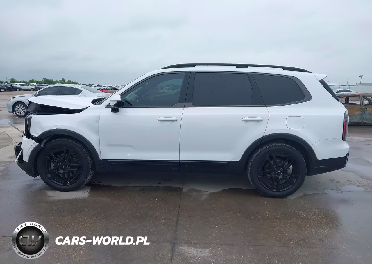 2024 Kia Telluride Sx Prestige X-Line VIN:5XYP5DGCXRG447854 - 15