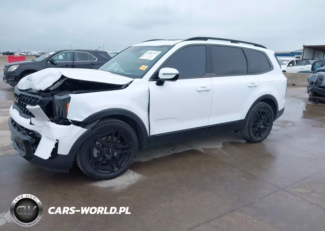2024 Kia Telluride Sx Prestige X-Line VIN:5XYP5DGCXRG447854 - 2