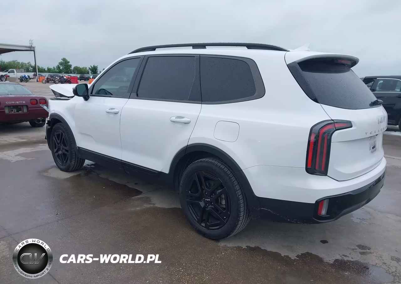 2024 Kia Telluride Sx Prestige X-Line VIN:5XYP5DGCXRG447854 - 3