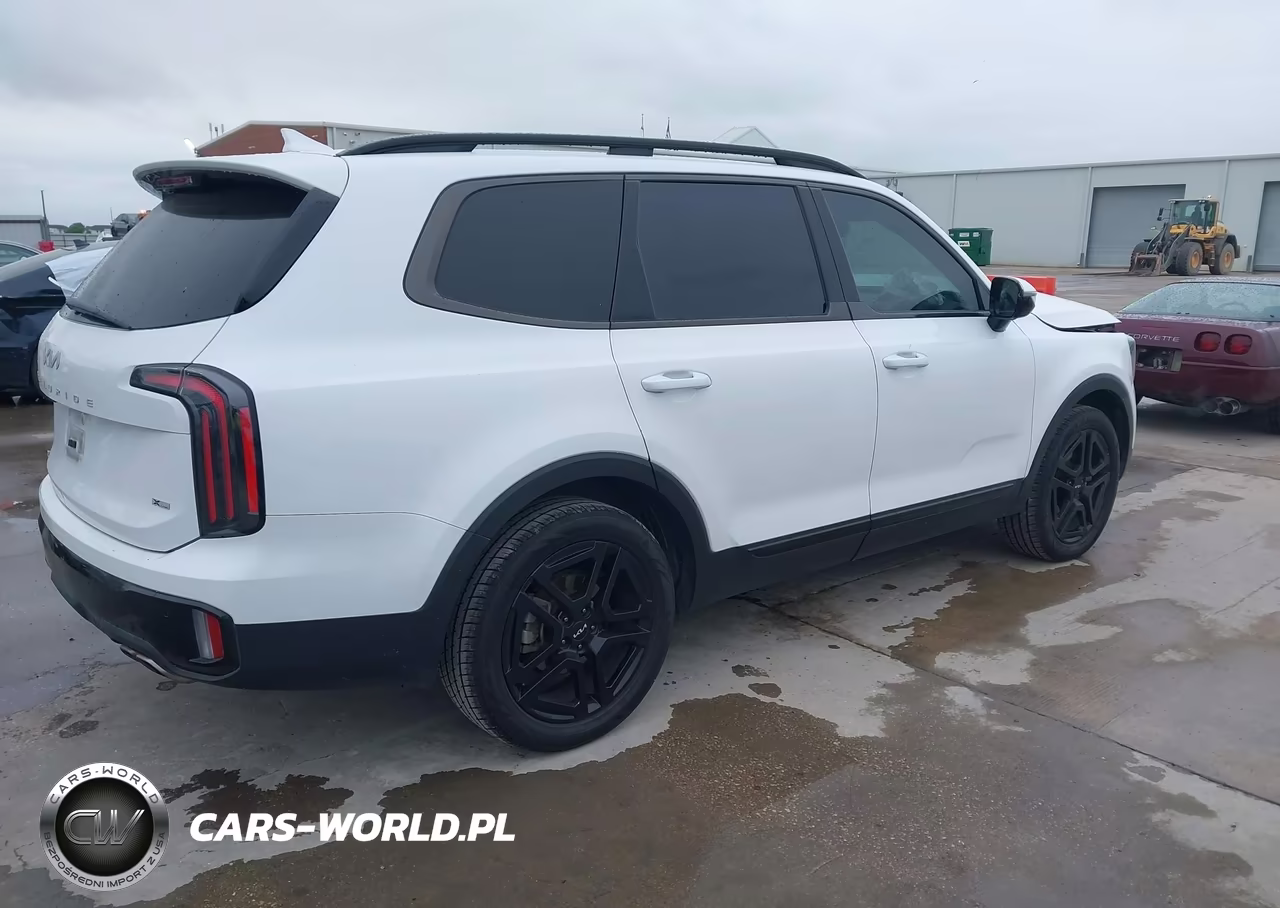 2024 Kia Telluride Sx Prestige X-Line VIN:5XYP5DGCXRG447854 - 4