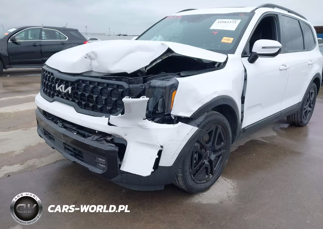 2024 Kia Telluride Sx Prestige X-Line VIN:5XYP5DGCXRG447854 - 6
