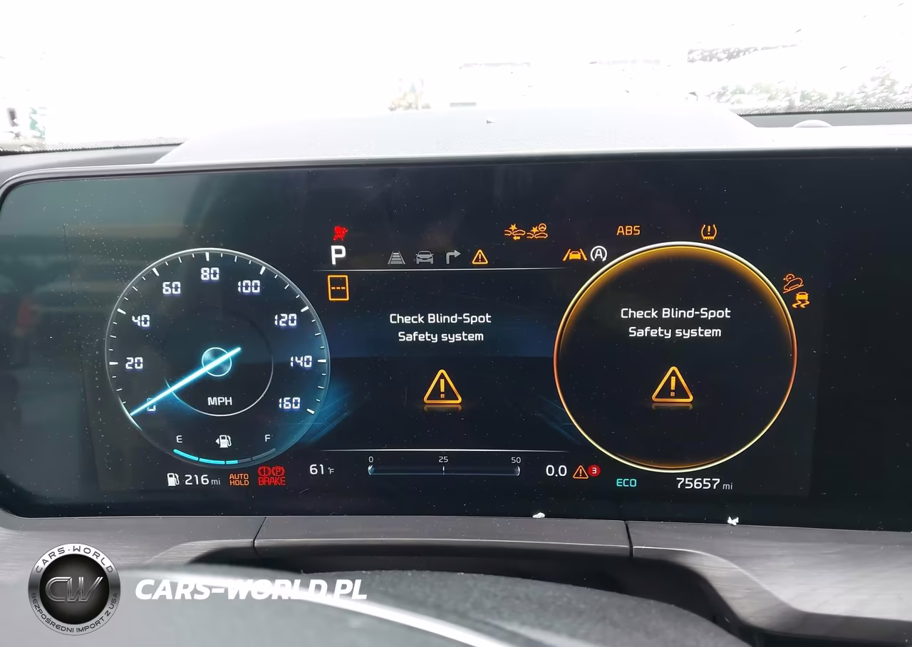 2024 Kia Telluride Sx Prestige X-Line VIN:5XYP5DGCXRG447854 - 7