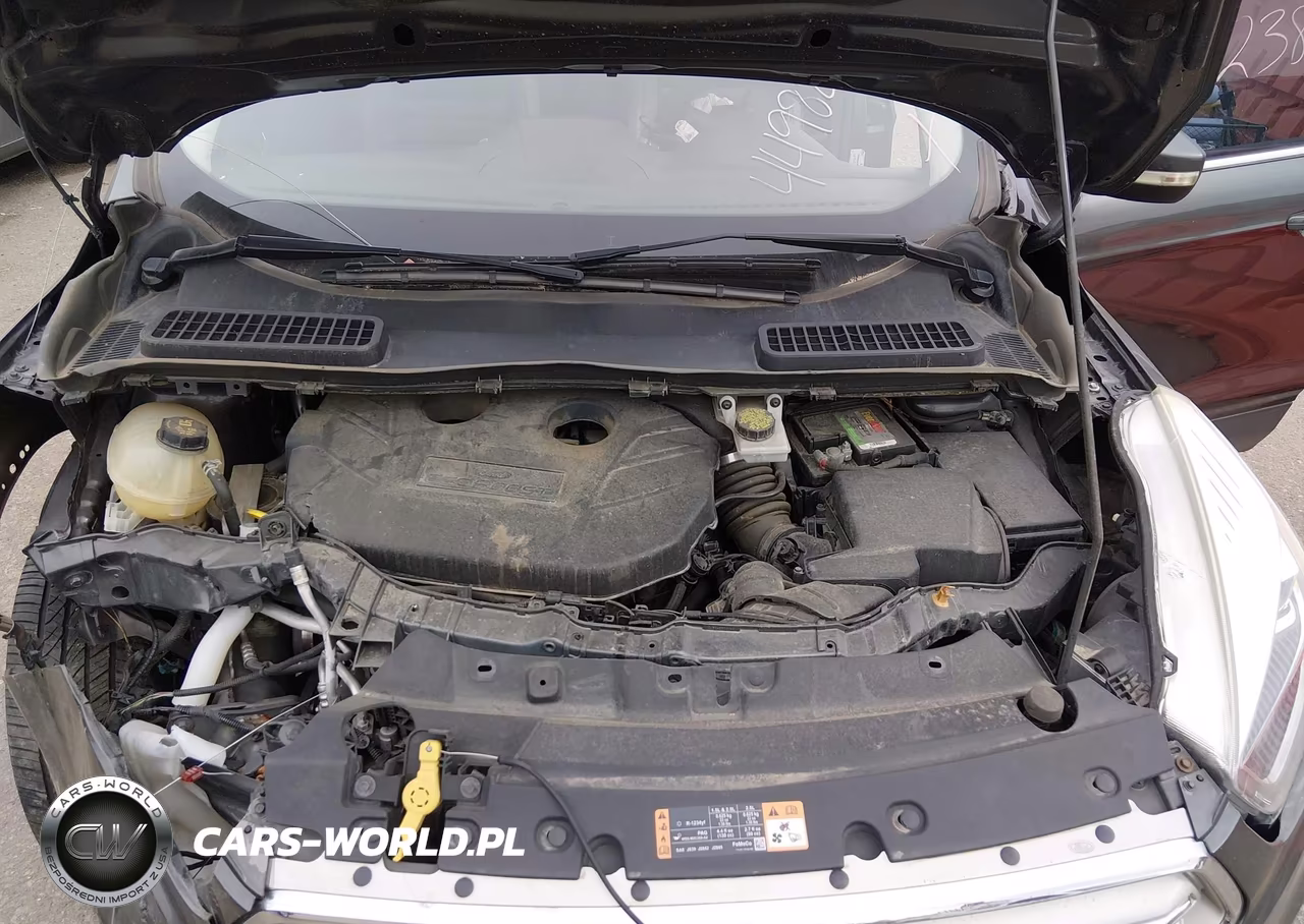 2019 Ford Escape Titanium VIN:1FMCU9J90KUB63015 - 10