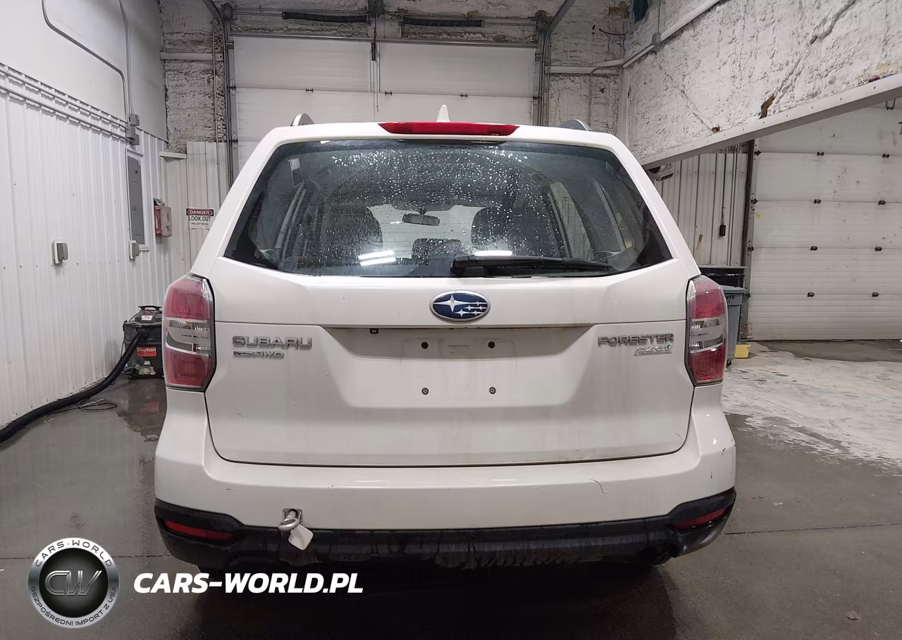 2016 Subaru Forester 2.5I VIN:JF2SJABC3GH416821 - 17