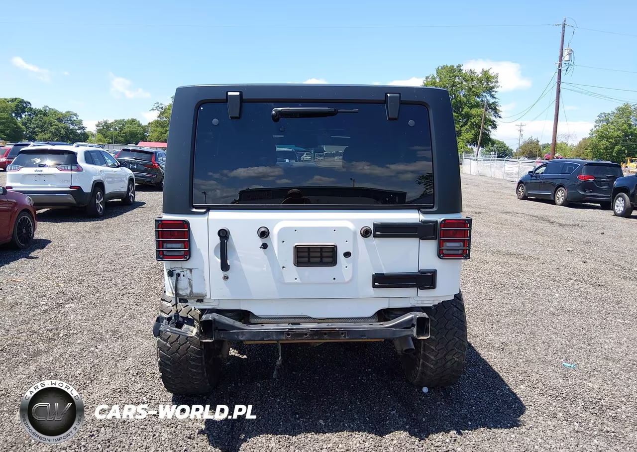 2017 Jeep Wrangler Unlimited Rubicon 4X4 VIN:1C4BJWFG3HL730671 - 17