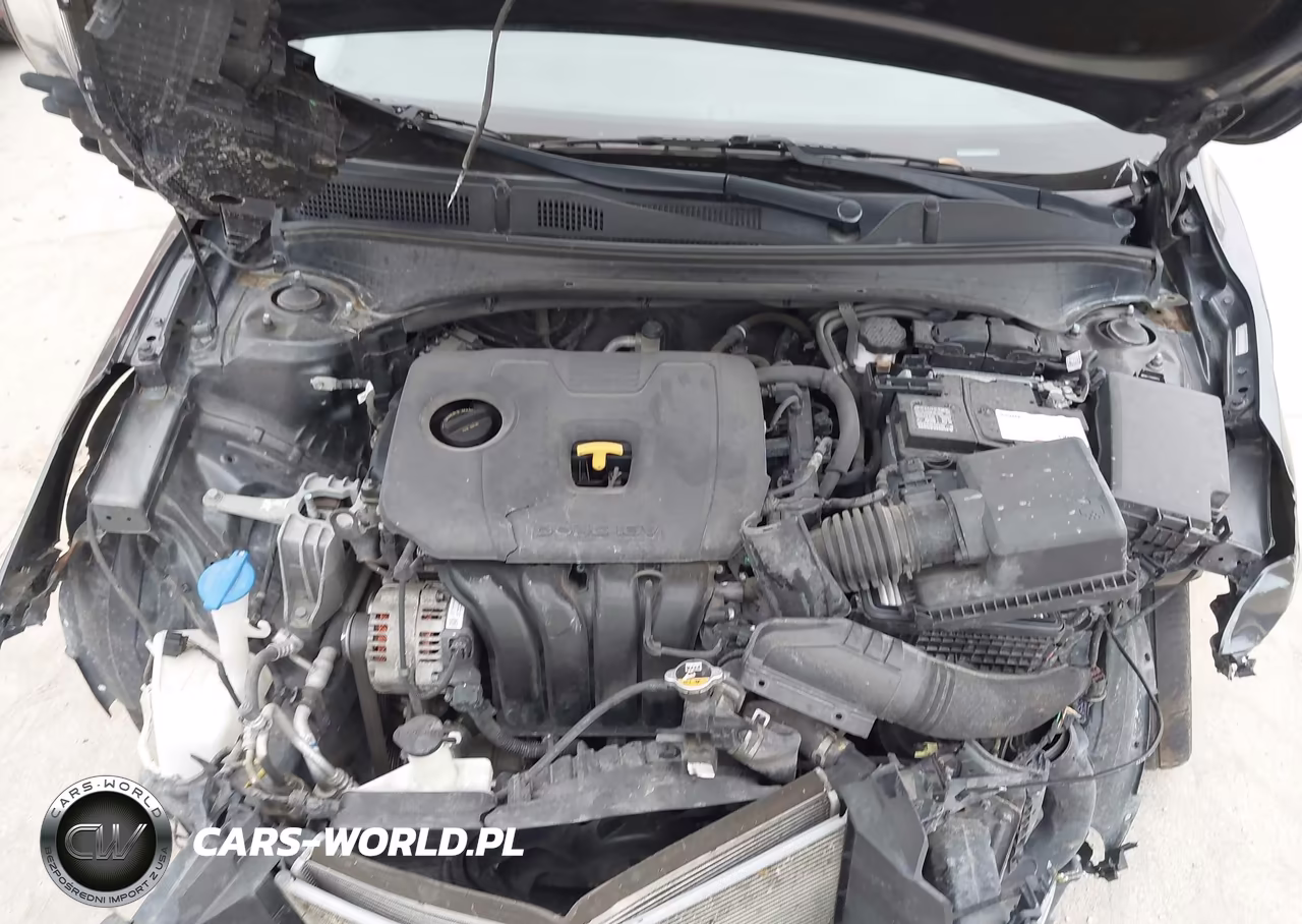 2021 Kia Forte Lxs VIN:3KPF24AD9ME293715 - 10