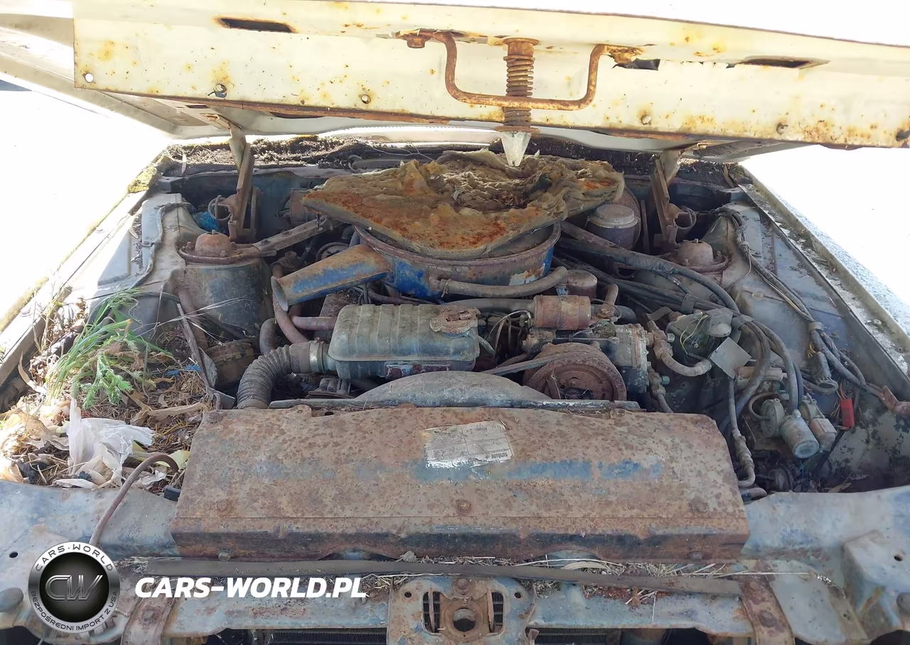 1966 Ford Thunderbird VIN:6Y81Z157525 - 10