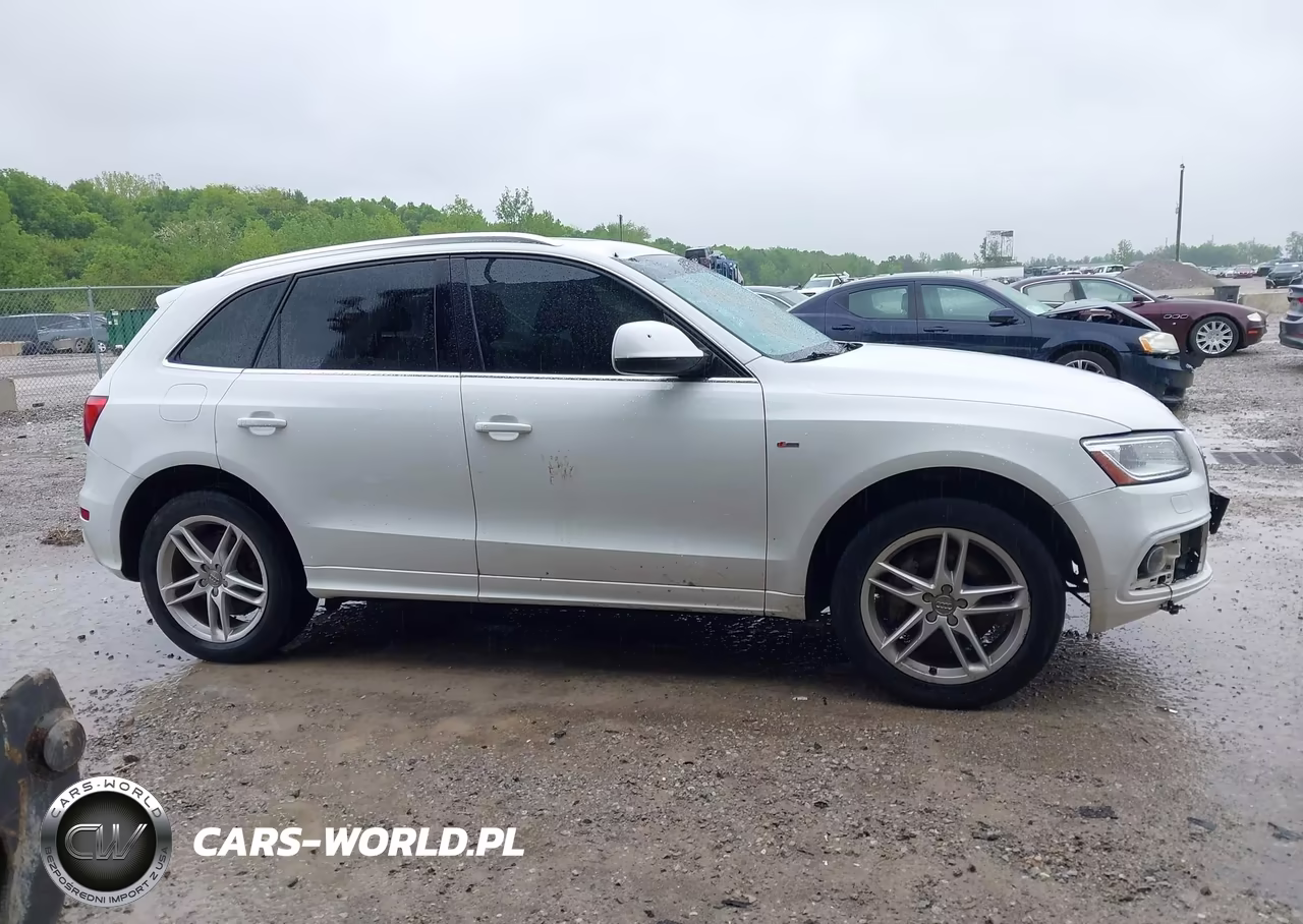 2014 Audi Q5 3.0T Premium Plus VIN:WA1DGAFP1EA079780 - 13
