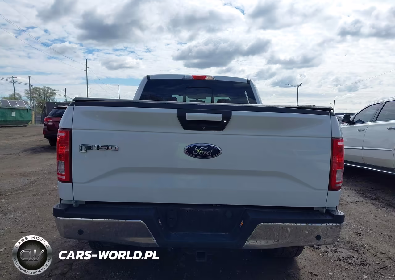 2017 Ford F-150 Xlt VIN:1FTFW1EG0HFC07601 - 16