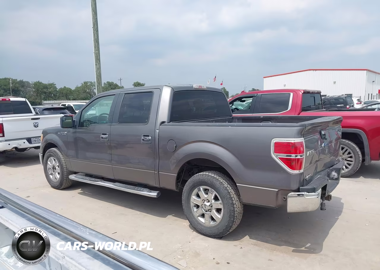 2013 Ford F-150 Xlt VIN:1FTFW1CFXDKG06236 - 14