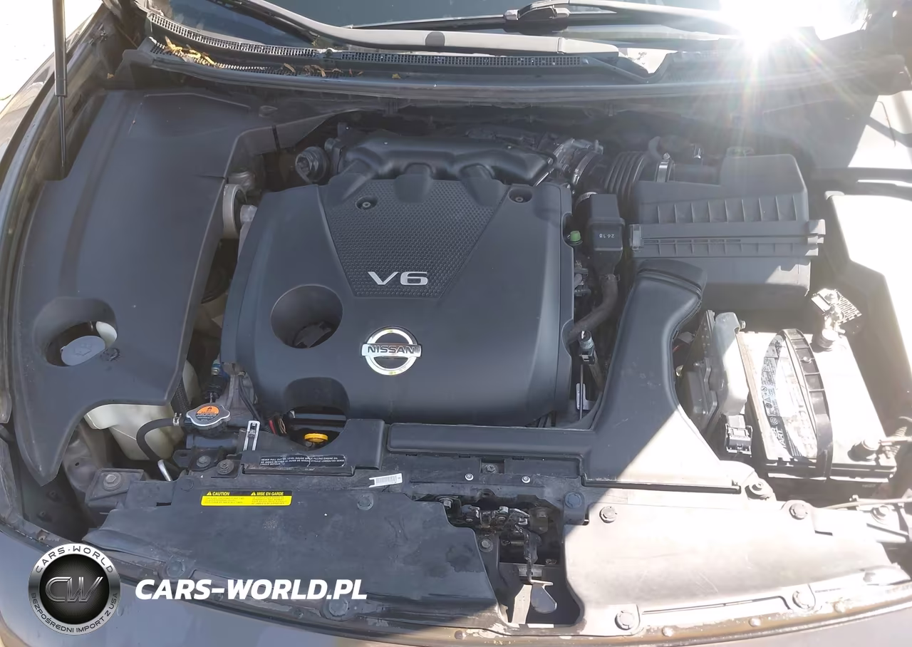 2013 Nissan Maxima 3.5 Sv VIN:1N4AA5AP6DC808678 - 10