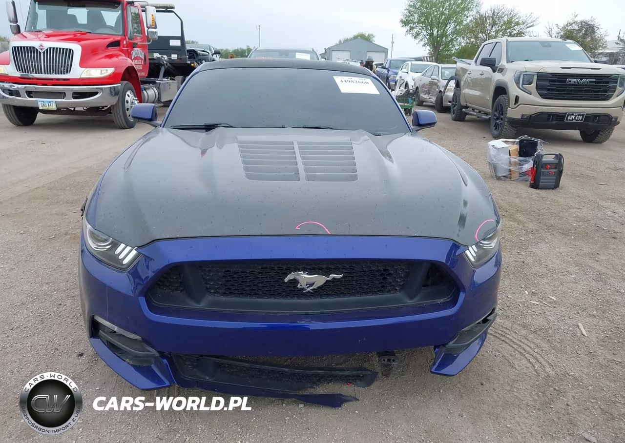 2015 Ford Mustang Gt VIN:1FA6P8CF7F5318719 - 13