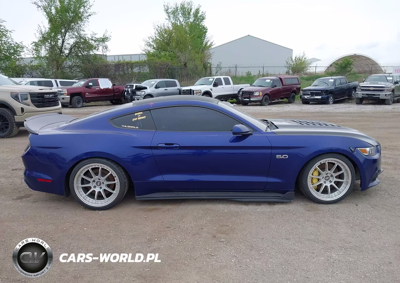 2015 Ford Mustang Gt VIN:1FA6P8CF7F5318719 - 14