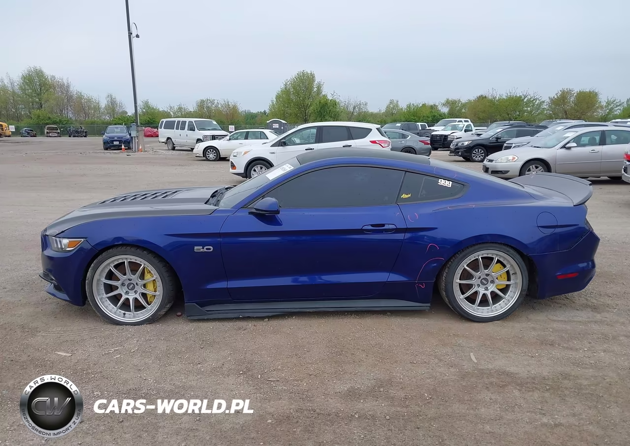 2015 Ford Mustang Gt VIN:1FA6P8CF7F5318719 - 15