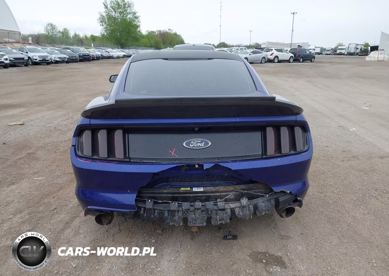 2015 Ford Mustang Gt VIN:1FA6P8CF7F5318719 - 17