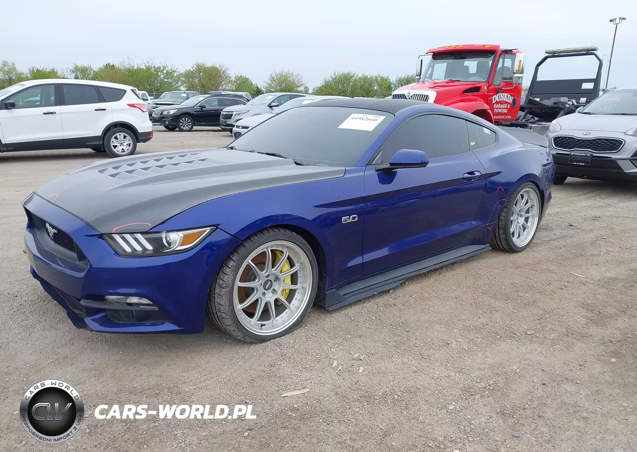 2015 Ford Mustang Gt VIN:1FA6P8CF7F5318719 - 2