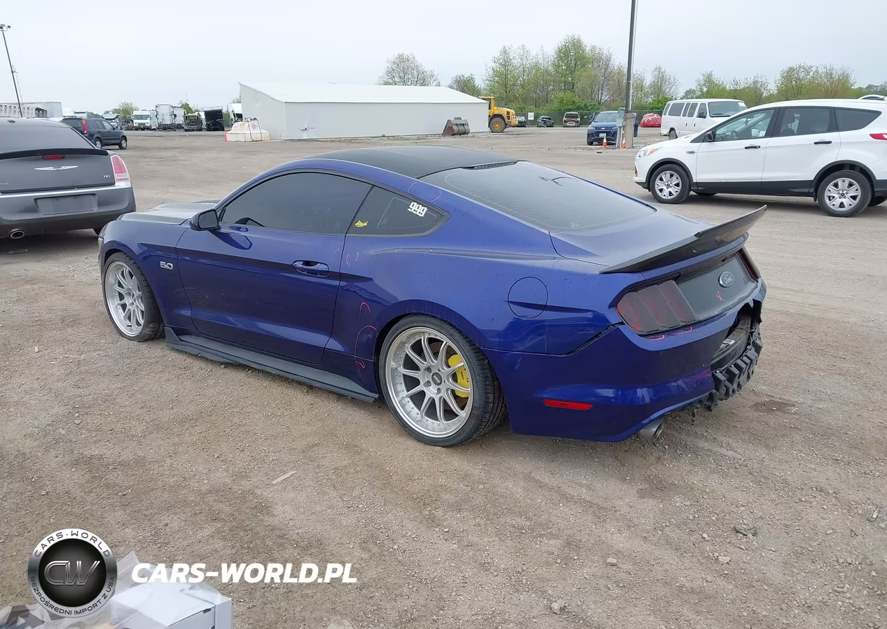 2015 Ford Mustang Gt VIN:1FA6P8CF7F5318719 - 3
