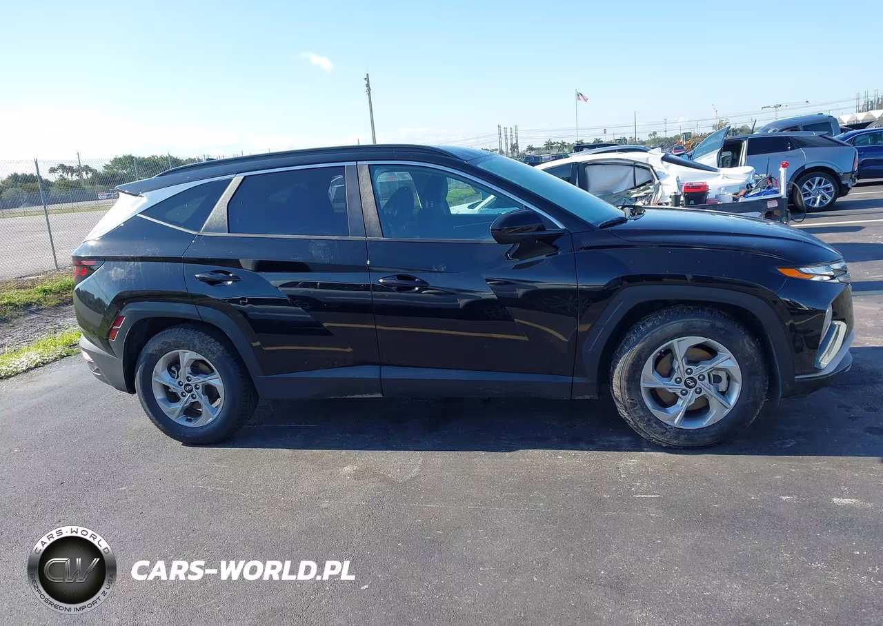 2024 Hyundai Tucson Sel VIN:5NMJB3DE6RH294443 - 13